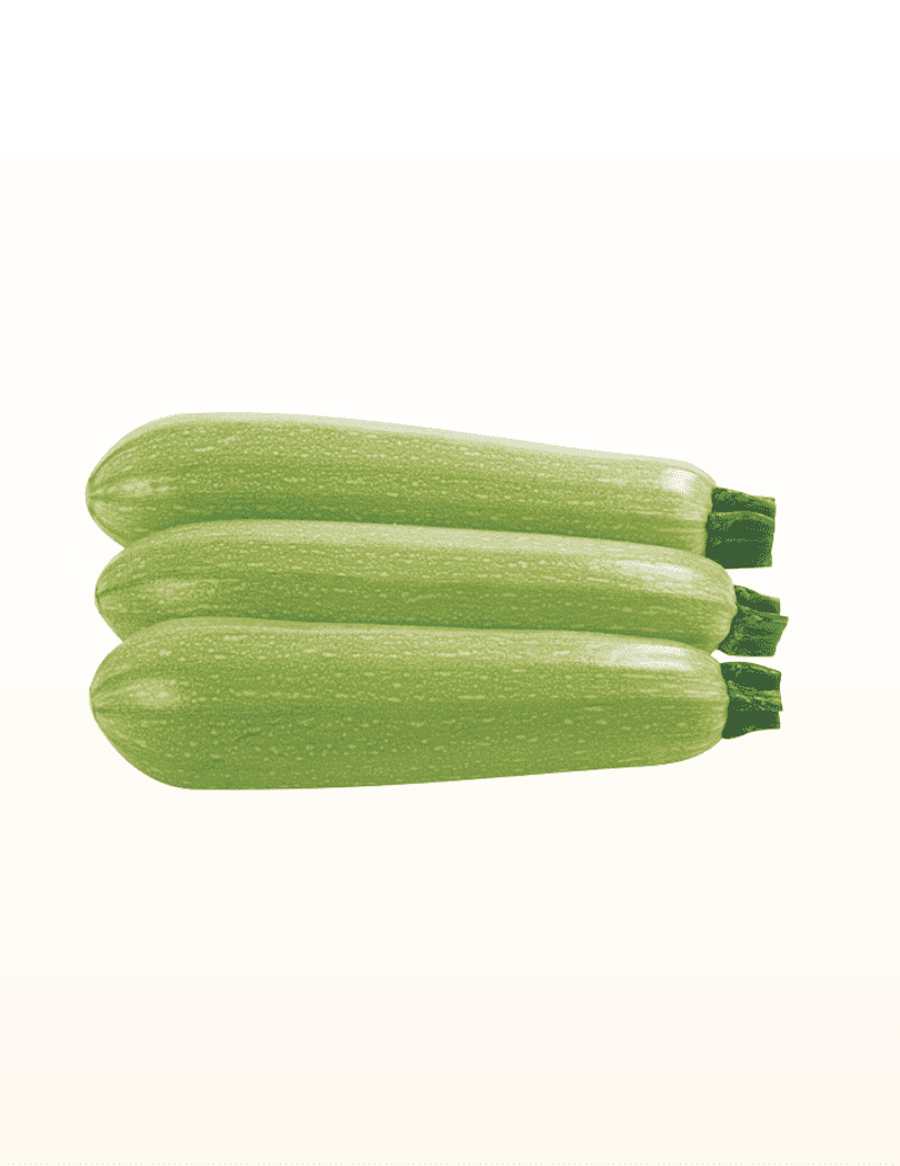 Courgette Blanche